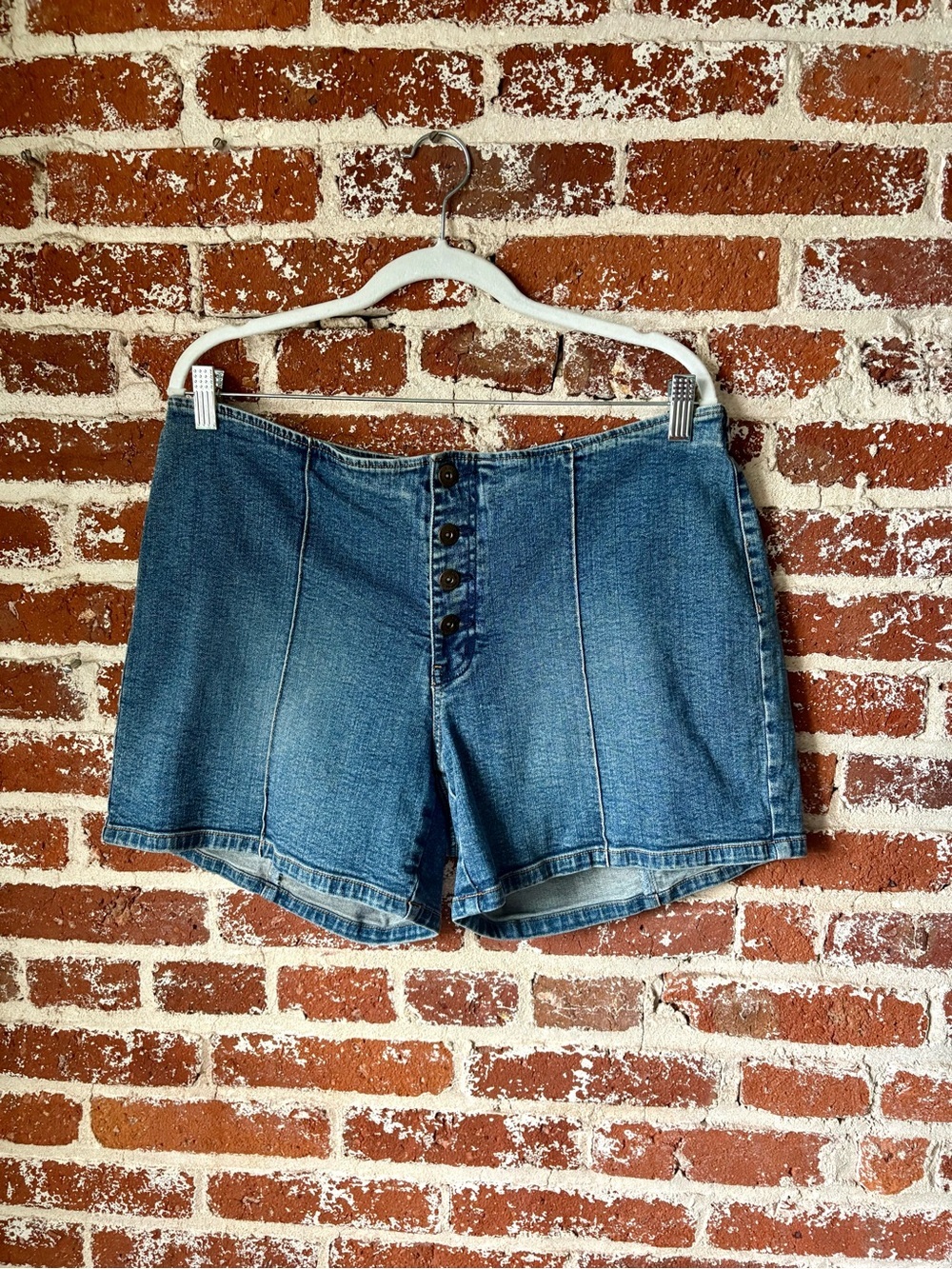 Y2K Venezia Low Rise Denim Shorts w/ button fly